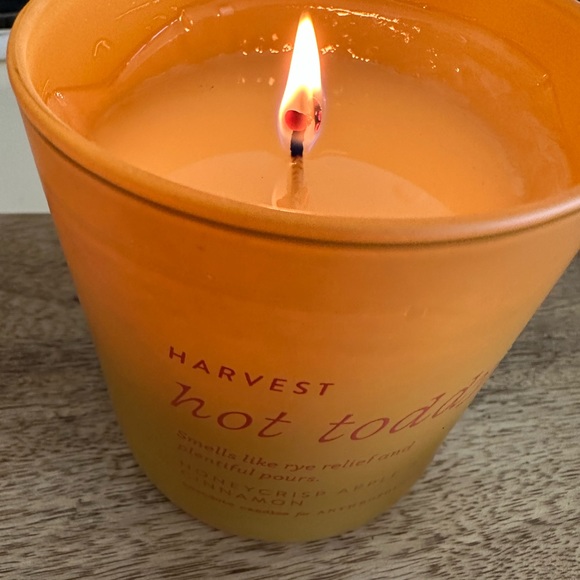 Hot Toddy anecdote exclusive anthro candle - Picture 8 of 8